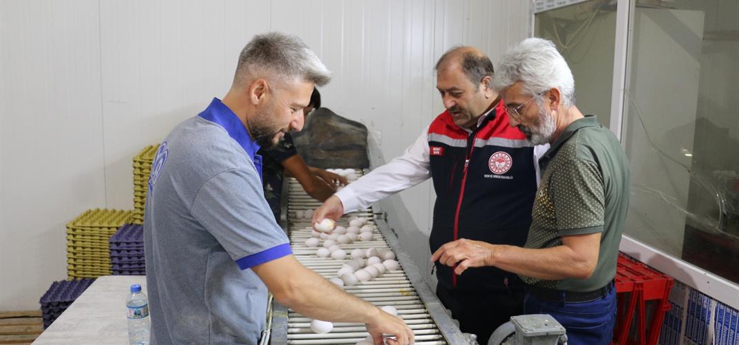 Erzincan’da Tam Otomatik Tesislerde Üretim…